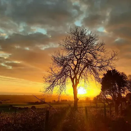 Granda's House - A From Near *